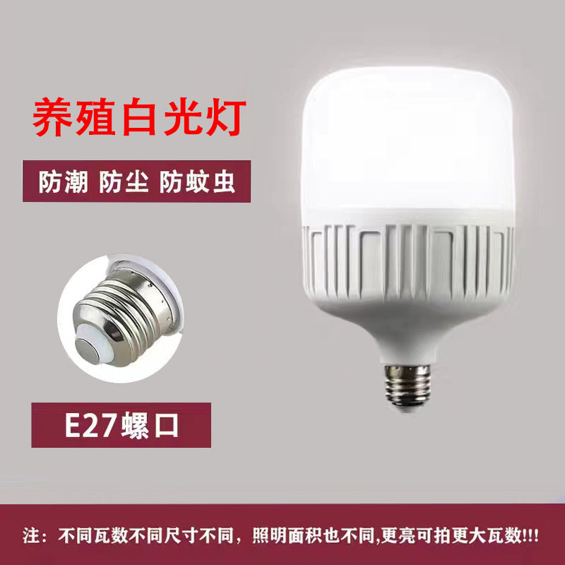 LED bulb e27 screw bayonet ball bulb white light super bright household energy saving factory workshop lighting high power light