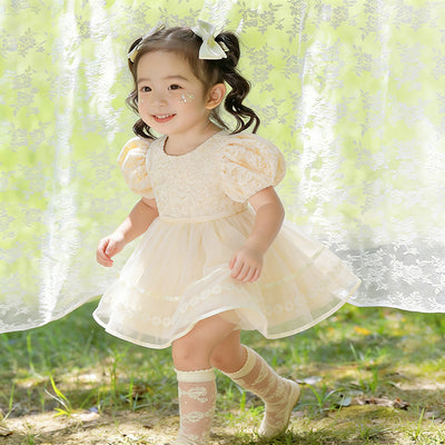 Girls' new birthday party & baby shower lace dress - baby's first birthday performance bow dress - cross-border wholesale