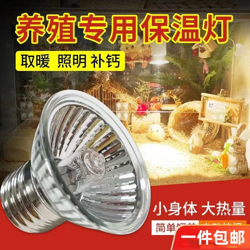 陶瓷加热灯爬宠宠物太阳灯加热爬虫陆龟蜥蜴保温灯泡鹦鹉温控夜灯