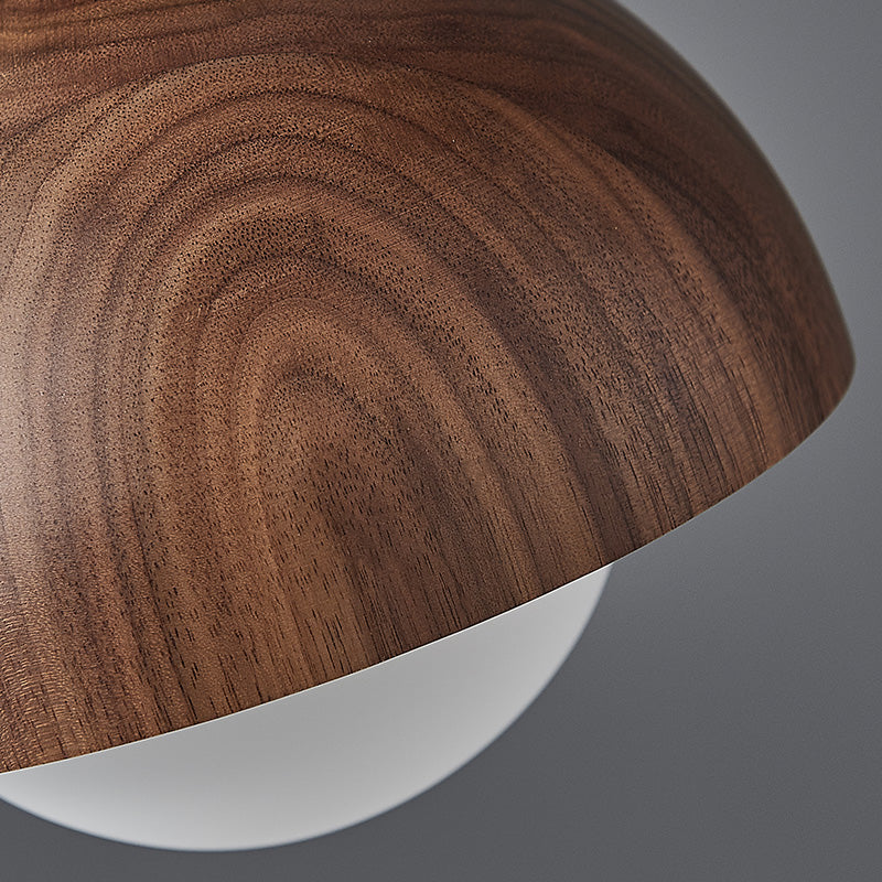 Zhongshan Lighting Aisle Light Entrance Light Balcony Ceiling Light Walnut Personality Homestay New Chinese Lighting