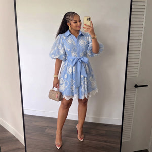 French chic embroidered mesh dress - women's summer dress, high-end bubble sleeve, slimming a-line with cinched waist