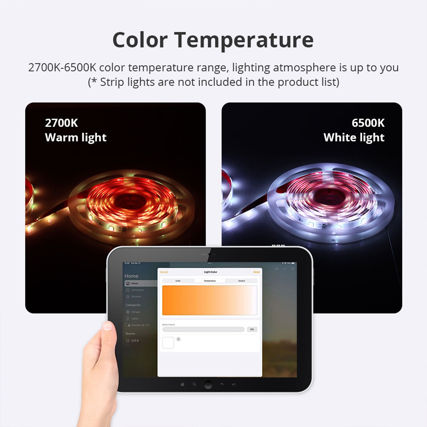 Wholesale matter24V intelligent controller RGBCWCCT dual color temperature homekit dimming color dimming intelligent lighting