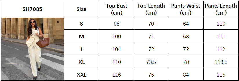 European and American fashion temperament vest suit solid color cardigan vest top trousers   women's clothing two-piece set summer