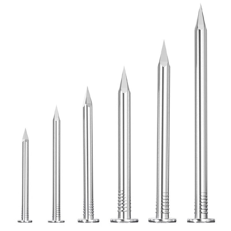 304/201 Stainless Steel Round Nails Steel Nails Element Nails Woodworking Wood Painting Nails Extended Western Nails Iron Nails Floor Nails