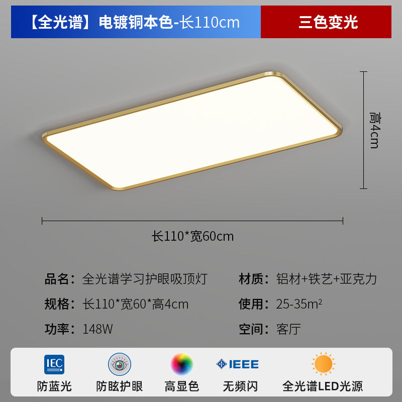 Zhongshan Modern Simple Living Room Light Ceiling Light 2025 New Puri Full Spectrum Eye Protection Bedroom Room Lighting