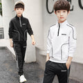 Boys' spring outfit set: new  collection for kids and teens - korean style, stylish and trendy for spring and autumn