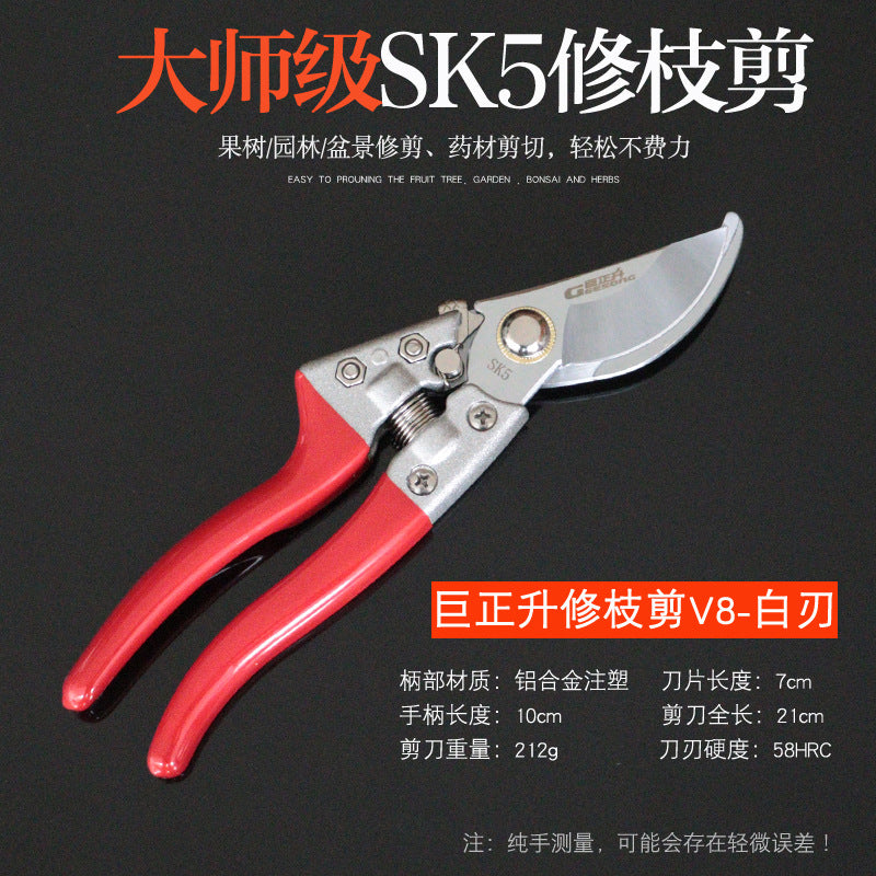 Juzhengsheng V8 white flower scissors, pruning scissors, flower trimming, multi-functional for home gardening, flower and plant scissors