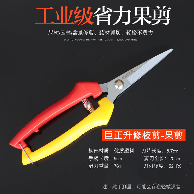 Juzhengsheng fruit branch shears, pruning shears, flower shears, flower trimming, multi-functional for home gardening, flower trimming shears