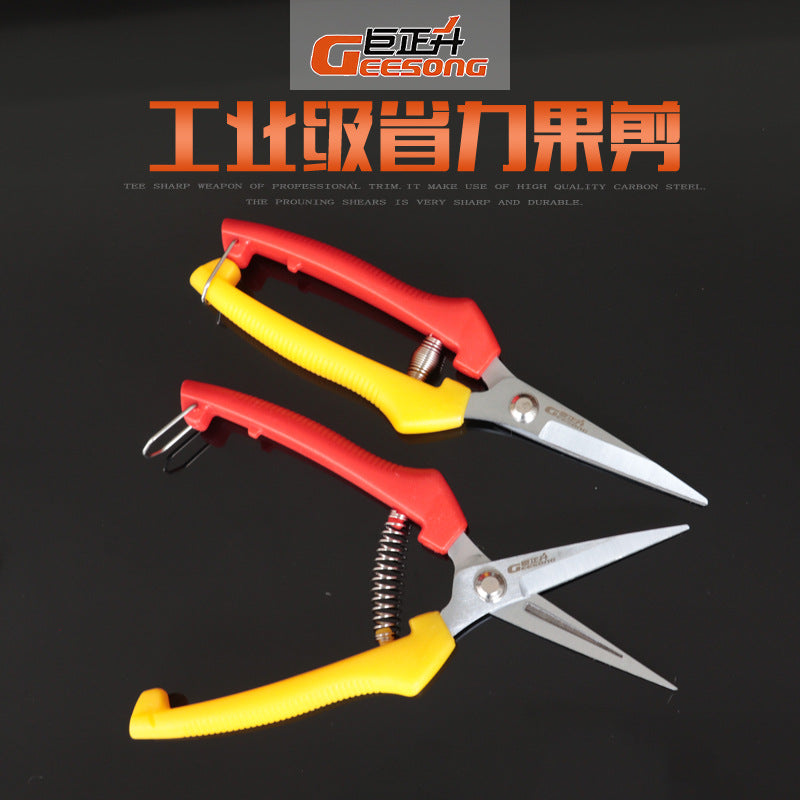 Juzhengsheng fruit branch shears, pruning shears, flower shears, flower trimming, multi-functional for home gardening, flower trimming shears
