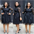 summer european and american plus size women's clothing - , ,  - elegant lace hollow-out a-line dress
