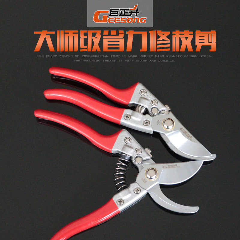 Juzhengsheng V8 white flower scissors, pruning scissors, flower trimming, multi-functional for home gardening, flower and plant scissors