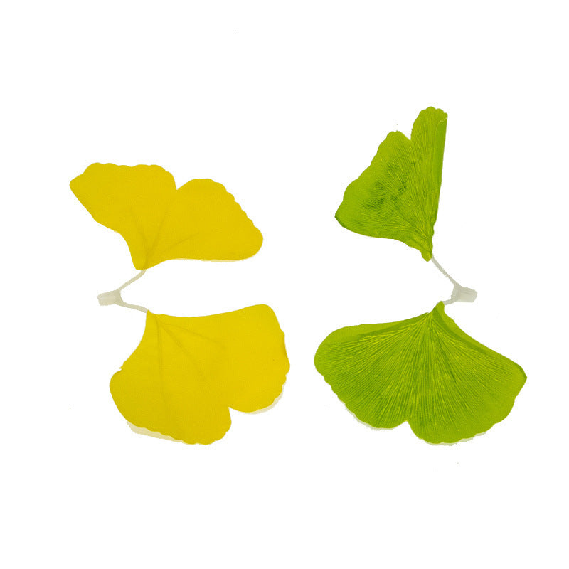 Cross-border new product 10LED ginkgo biloba light string, leaf small lights flashing light string ins girl heart network red light indoor