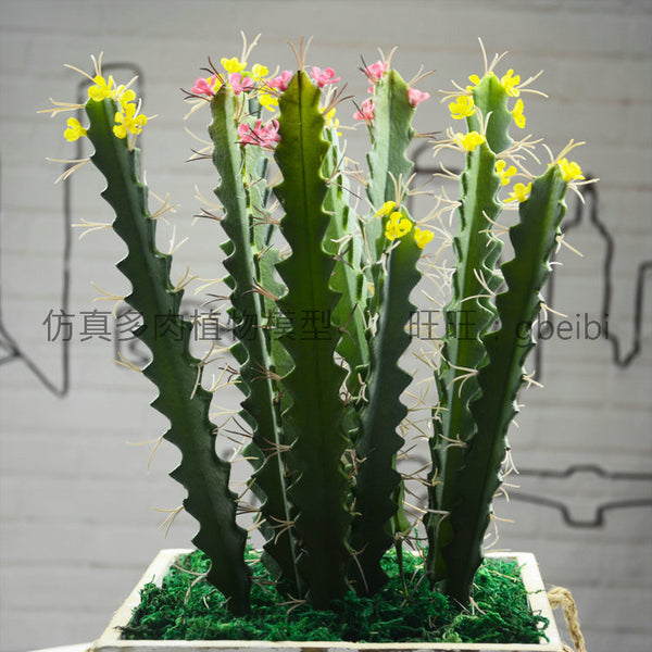 Simulation of Avalokitesvara with flowers Tropical plants Green indoor placement, cactus with green leaves, cactus model