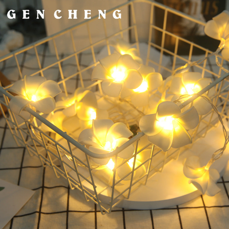 LED lights flashing lights strings full of stars, marriage proposal confession, wedding room arrangement lights, egg flower lights decorative lights strings