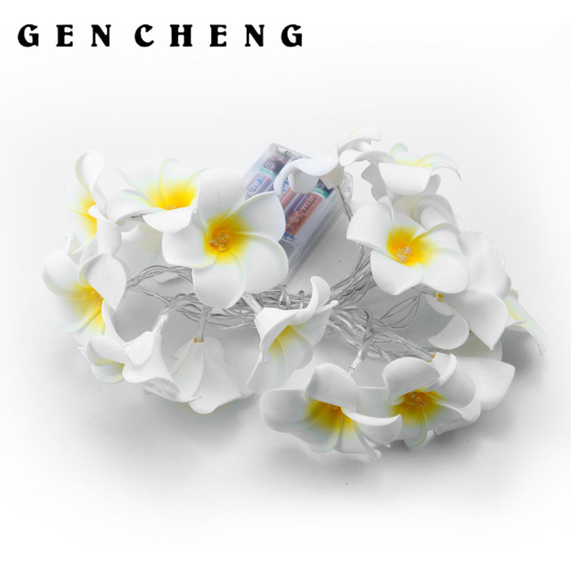 LED lights flashing lights strings full of stars, marriage proposal confession, wedding room arrangement lights, egg flower lights decorative lights strings