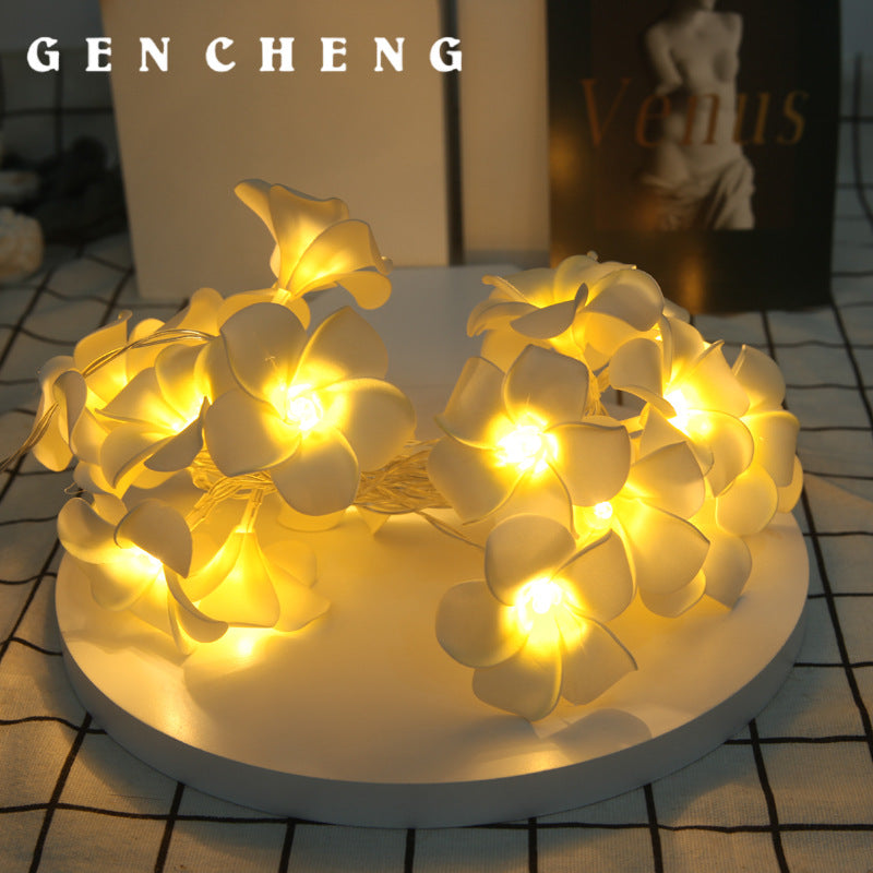 LED lights flashing lights strings full of stars, marriage proposal confession, wedding room arrangement lights, egg flower lights decorative lights strings