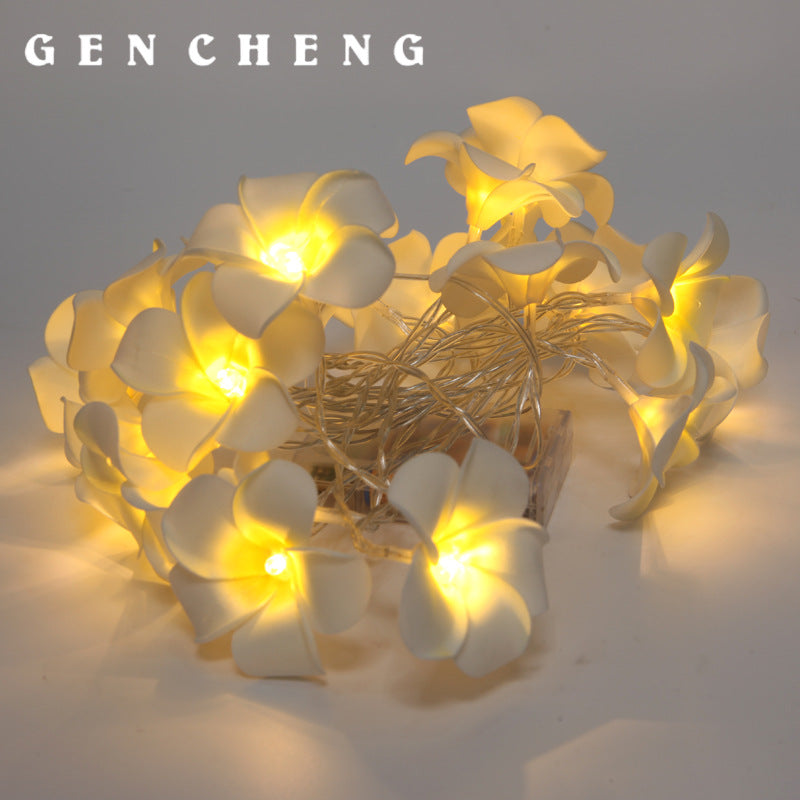 LED lights flashing lights strings full of stars, marriage proposal confession, wedding room arrangement lights, egg flower lights decorative lights strings