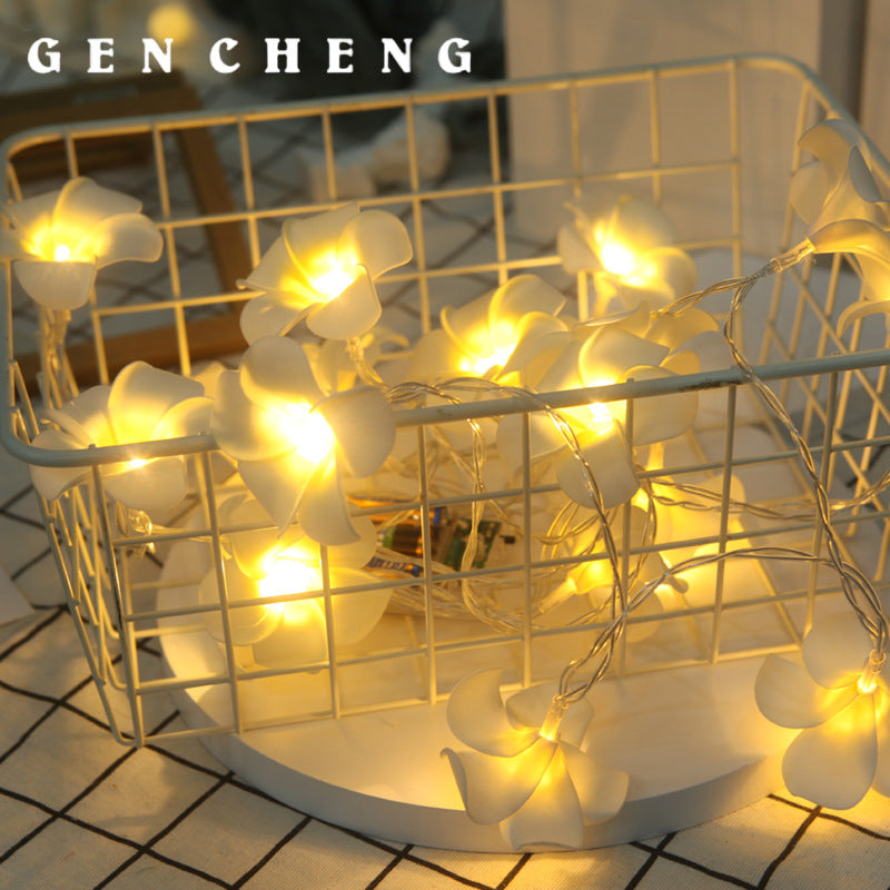 LED lights flashing lights strings full of stars, marriage proposal confession, wedding room arrangement lights, egg flower lights decorative lights strings