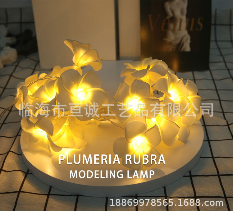 LED lights flashing lights strings full of stars, marriage proposal confession, wedding room arrangement lights, egg flower lights decorative lights strings