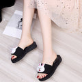 2024 new women's open-toe slippers - outdoor wear, platform, cartoon design, flat heel, soft sole, thong sandals - dropshipping available