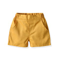 European and american summer new boys' korean style animal print short-sleeve shirt and shorts casual two-piece kids' outfit set