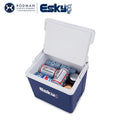Esky 10l portable cooler box - perfect for national day street food stalls, takeout drinks, delivery, picnics, and keeping food fresh and cold