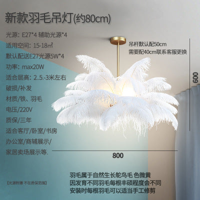 Bedroom lights Nordic modern simple ins girls room warm romantic creative lighting Internet celebrity feather chandelier