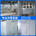 Customized cold storage equipment set, cold room panel manufacturer, 10-cubic-meter seafood quick freezer, fruit preservation warehouse, commercial freezer