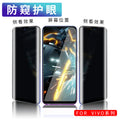 Suitable for vivox20plis anti-peeping and anti-scratch iqooneo5/nex2 mobile phone protective eye film