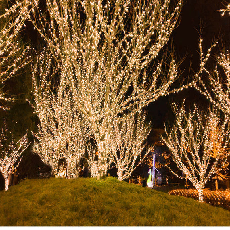 Manufacturer 24V low-voltage gypsy lights flashing lights string lights around the tree project lighting outdoor Christmas tree lights string decoration