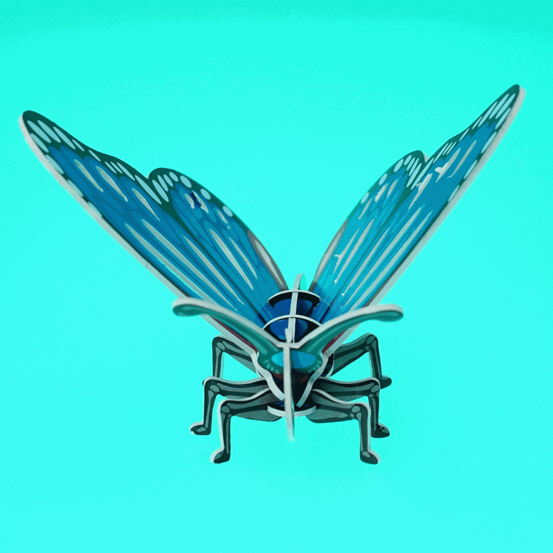 Insect 3D paper three-dimensional puzzle kindergarten handmade DIY children's early education educational technology production toy wholesale