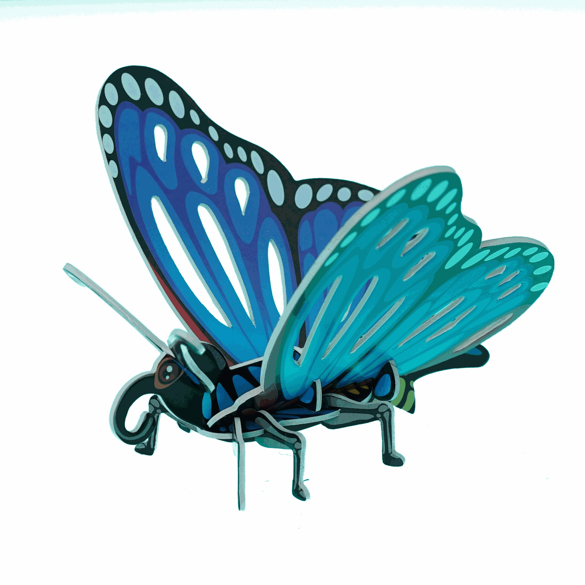 Insect 3D paper three-dimensional puzzle kindergarten handmade DIY children's early education educational technology production toy wholesale