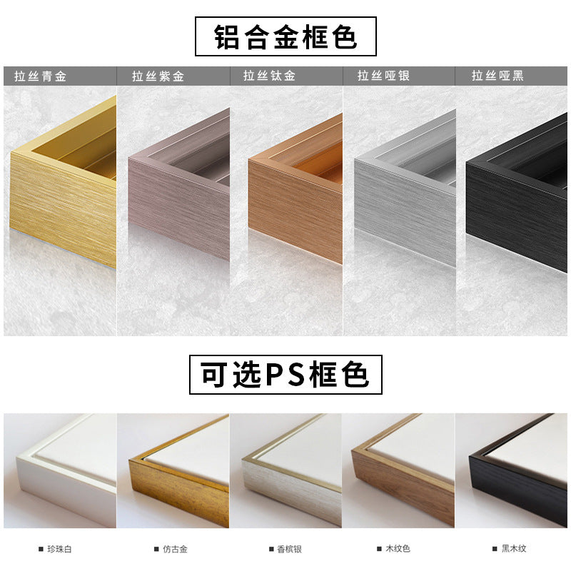 Living room decorative painting light luxury sofa background wall crystal porcelain painting dining room entrance painting meter box hanging painting bedroom bedside painting