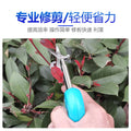 Wholesale garden tools, handyman fruit picking shears, pruning shears, household special hardware shears, stainless steel mini small