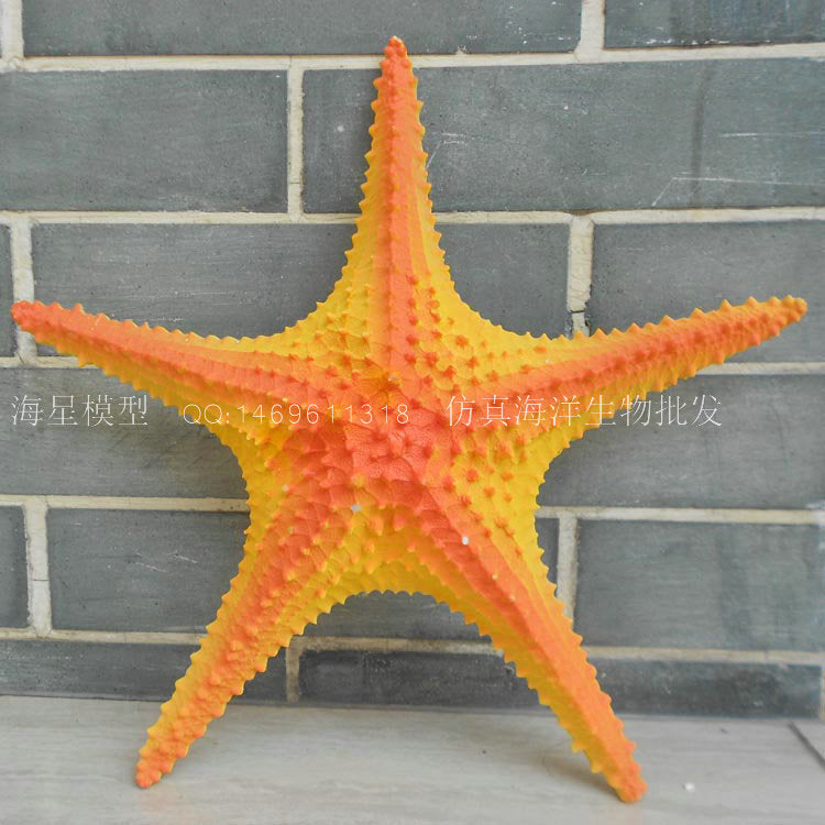 Simulated starfish Mediterranean pentagonal oversized 33cm sea star restaurant wall decoration creative wedding props