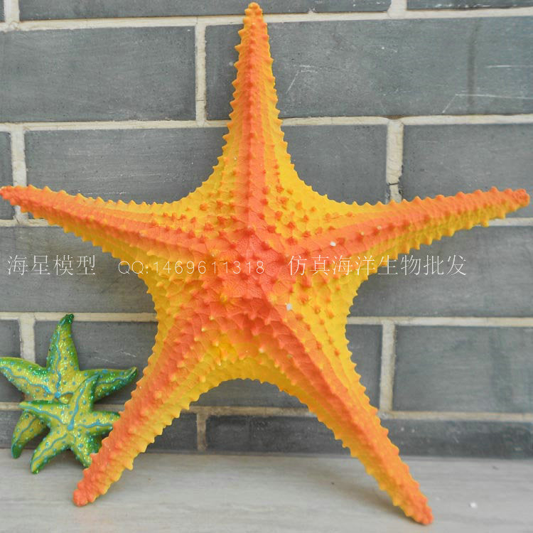 Simulated starfish Mediterranean pentagonal oversized 33cm sea star restaurant wall decoration creative wedding props
