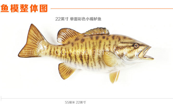 Simulated small-billed perch, oversized freshwater fish model, large perch, half-sided colored fish, pendant, fake fish