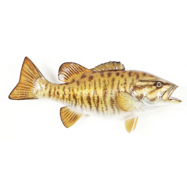 Simulated small-billed perch, oversized freshwater fish model, large perch, half-sided colored fish, pendant, fake fish