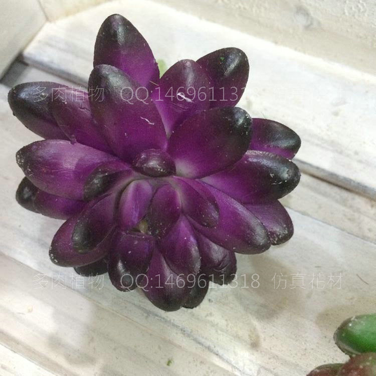 Simulated pentagram succulent plant living room ornament creative gardening ornament green plant fake flower tabletop dining room decoration