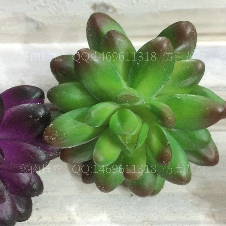 Simulated pentagram succulent plant living room ornament creative gardening ornament green plant fake flower tabletop dining room decoration