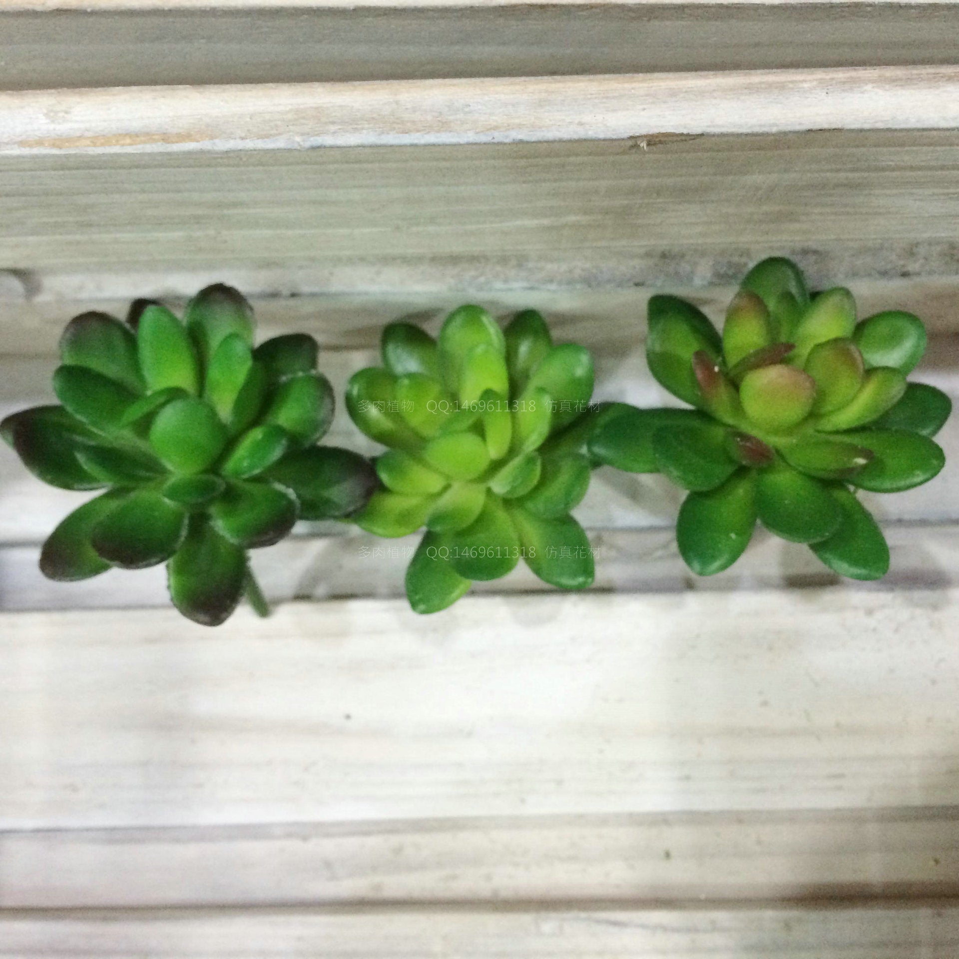 Simulation single mini small pentagonal lotus high imitation green plant wall accessories micro landscape floral plants