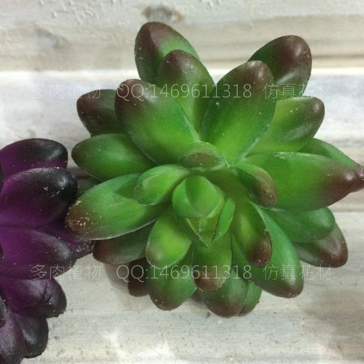 Simulated pentagram succulent plant living room ornament creative gardening ornament green plant fake flower tabletop dining room decoration