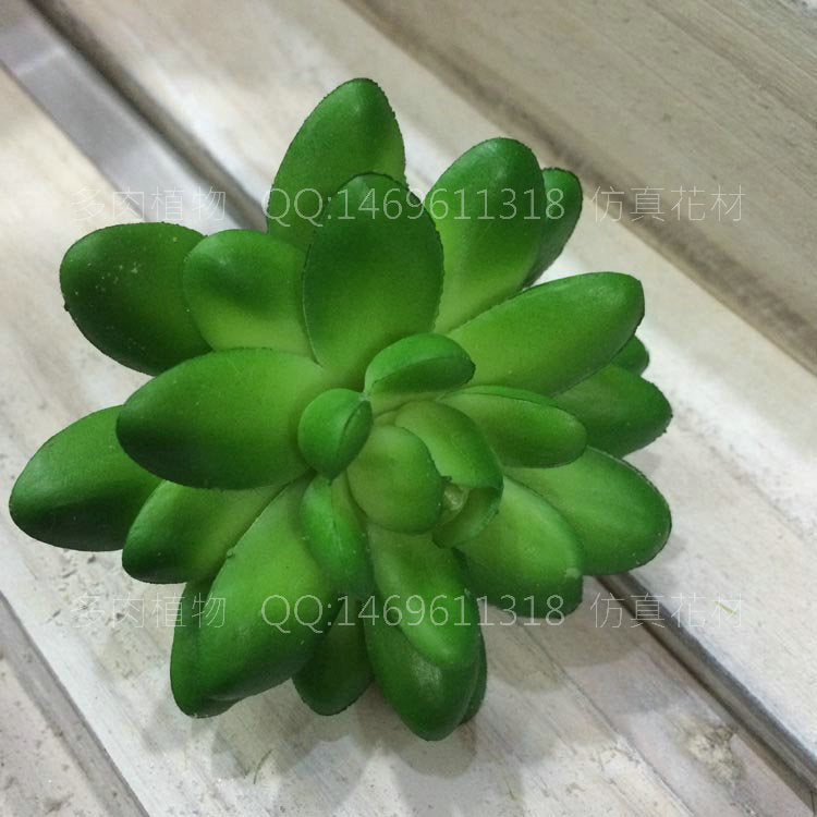 Simulation single mini small pentagonal lotus high imitation green plant wall accessories micro landscape floral plants