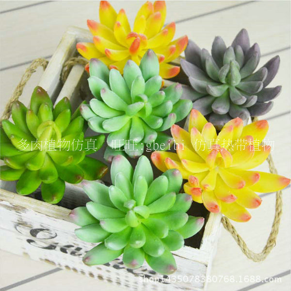 Simulated soft glue Baolian plant simulation green plant multi-color succulent model shooting props gardening green plant decoration