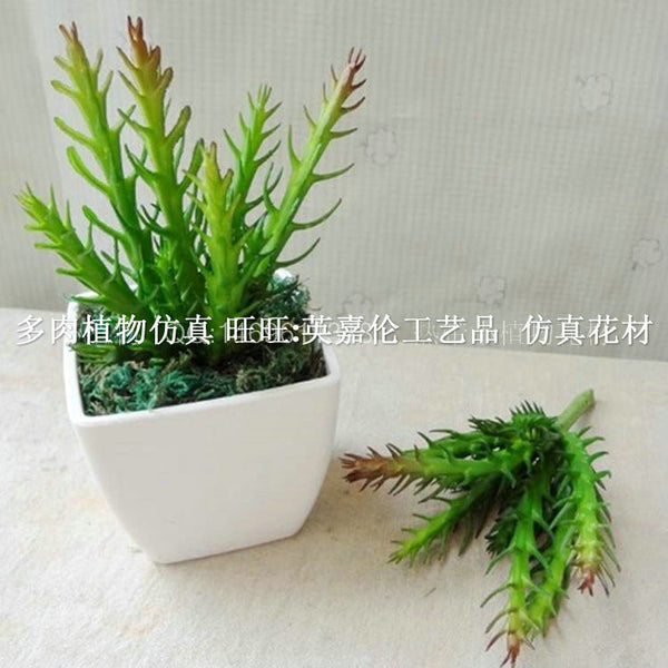 Simulation thorny cactus cactus plastic potted flower fake green leafy plant tabletop ornament shooting prop