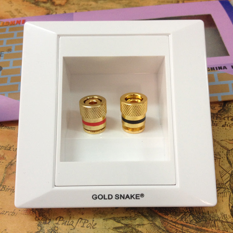 Factory direct sales Snake King audio panel, speaker cable junction box, speaker junction box, banana socket, two wall plugs