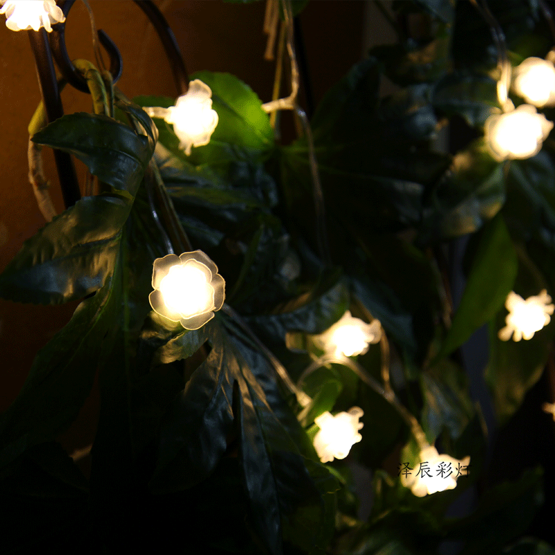 LED rose light string exquisite lighting proposal artifact KTV hotel live streaming host wedding photography room decorative light string