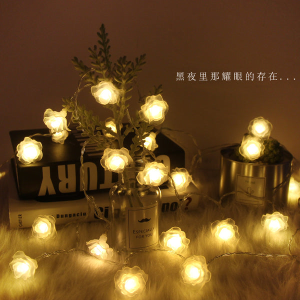 LED shape star lights, Gypsy wedding decoration lights, rose lights, Christmas lights