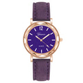 Wish new arrival watch - minimalist dial, matte leather strap, women's quartz watch, ladies' watch, watches