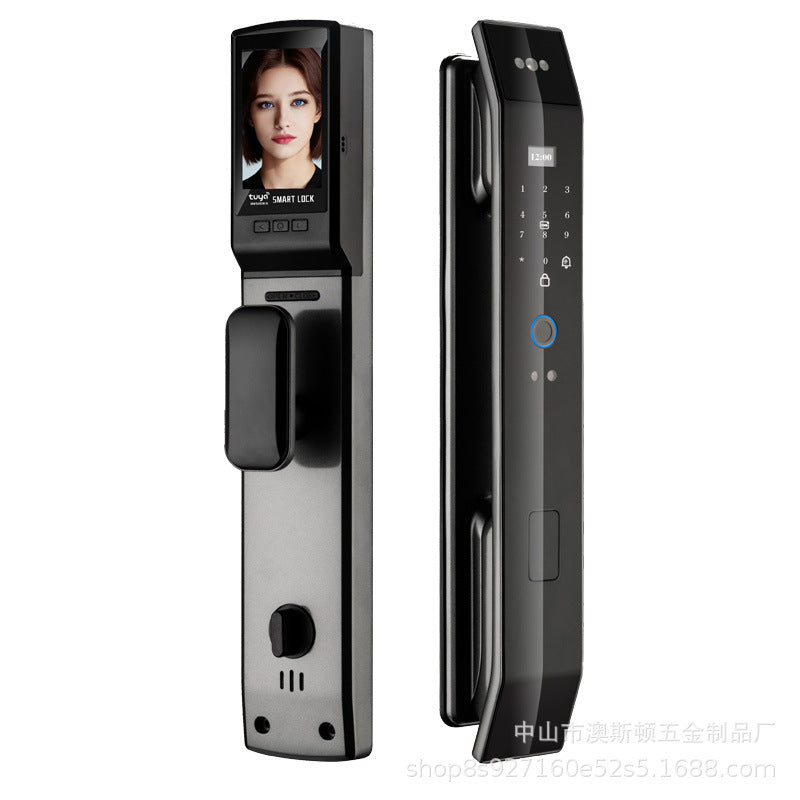 smart lock face recognition fingerprint lock visual cat eye password lock anti-theft door remote management manufacturer spot